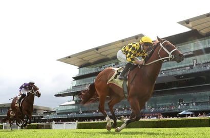 Winx Stakes odds