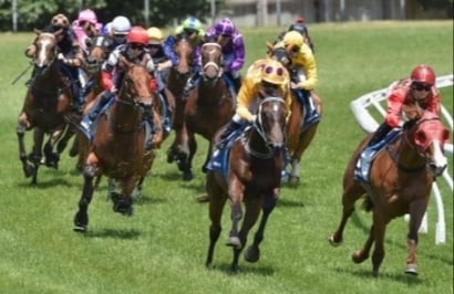 Wodonga Tips for 17.09.2024
