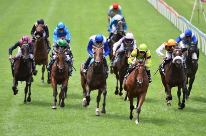 Wodonga tips - 01/09