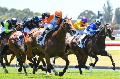 Wodonga tips for 16.09.2025