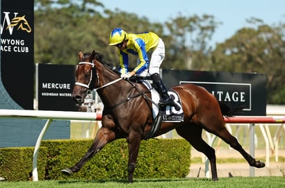 Wyong Horse Racing