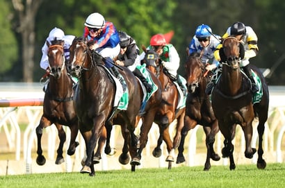 Wyong Horse Racing