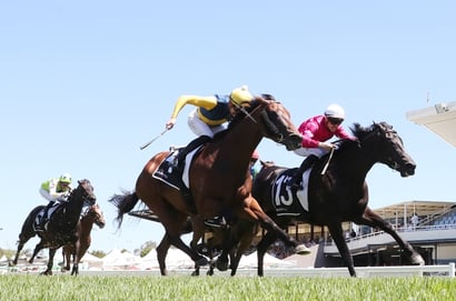Wyong Horse Racing