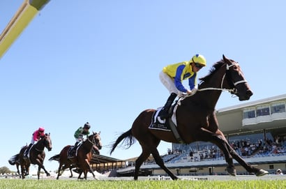 Wyong Horse Racing
