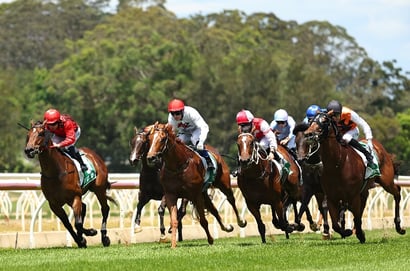 Wyong Horse Racing