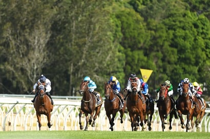Wyong Tips for 19.03.2025