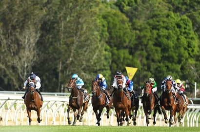 Wyong Tips for 24.06.2025