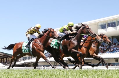 Wyong tips for 04.09.2026