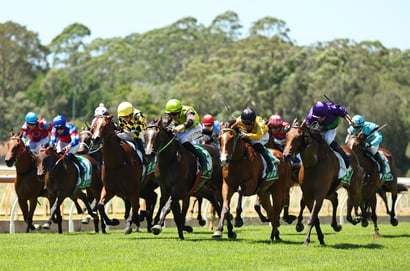 Wyong tips for 25.06.2026