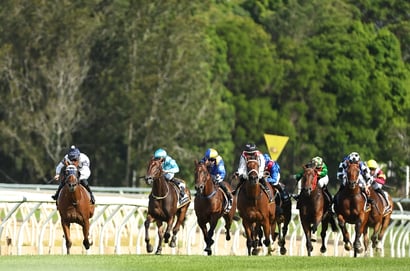 Wyong tips for 26.11.2025