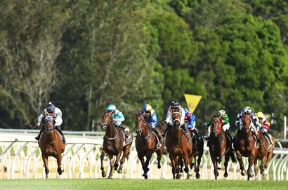 Wyong tips for 30.10.2025