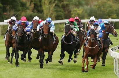 Yarra Valley Tips for 21.01.2025