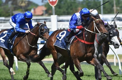 Zabeel QLD Oaks news