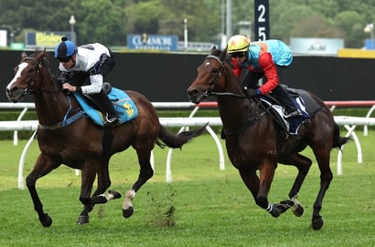 Zac Purton riding Ka Ying Rising