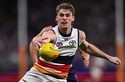 adelaide crows