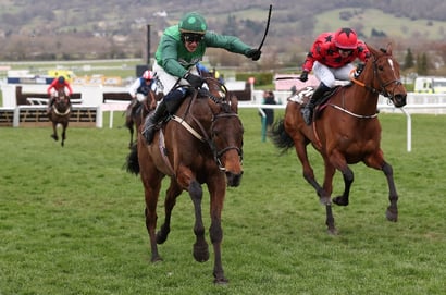 2026 Albert Bartlett Novices' Hurdle Odds - Doctor Steinberg tops Gold Cup day betting
