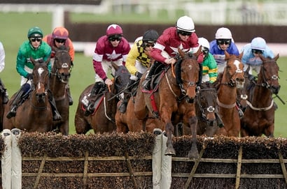 Albert Bartlett Novices' Hurdle 2026 Tips - Two outsiders to side with on Gold Cup day