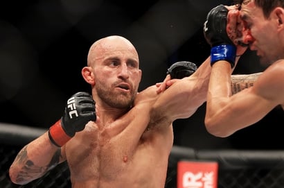 alexander volkanovski