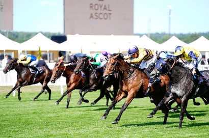 american affair ascot
