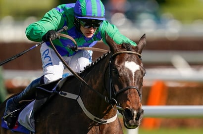 Cheltenham Festival 2026 Ante-Post Tips - Back Willie's Supreme contender at 25/1