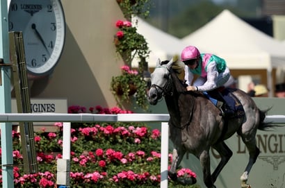 ascot