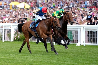 ascot