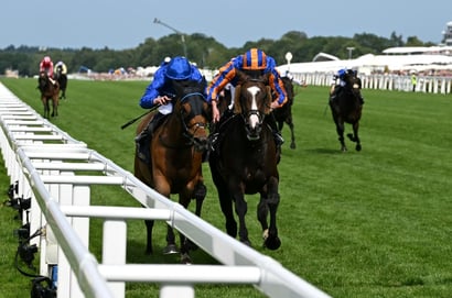 ascot gold cup
