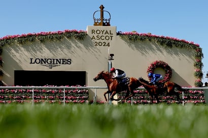 ascot gold cup kyprios
