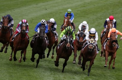 ascot tips