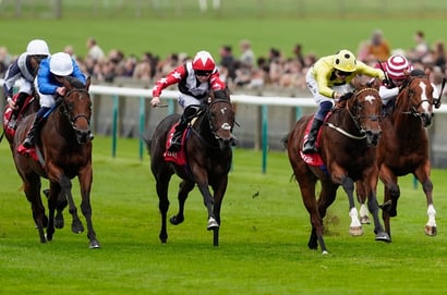 autumn stakes newmarket