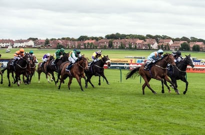 ayr racecourse