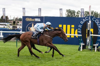 ayr racecourse