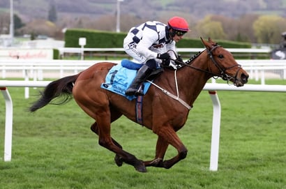 2025 Brown Advisory Chase Odds - Ballyburn leads The Jukebox Man in Cheltenham betting