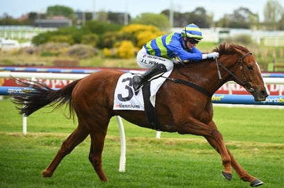 Sir Rupert Clarke Stakes 2025 - Barrier Draw & Final Field