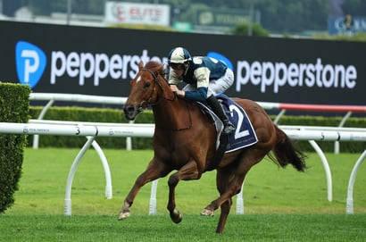 Grab $3.50 for either Jimmysstar or Tentyris to win the TJ Smith Stakes