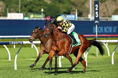 Grab $3 for Chains Of Love to Win or Run Top 2 in the Creswick Stakes
