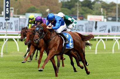Get $2.50 for either Beiwacht or Tentyris to Win the 2025 Coolmore Stud Stakes