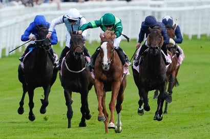 2026 Epsom Derby Odds - Benvenuto Cellini leads Item in Classic market