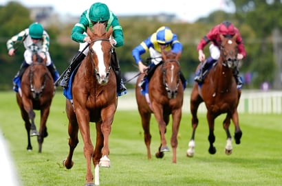 2025 Futurity Trophy Odds - Benvenuto Cellini odds-on to hand Ballydoyle twelfth win