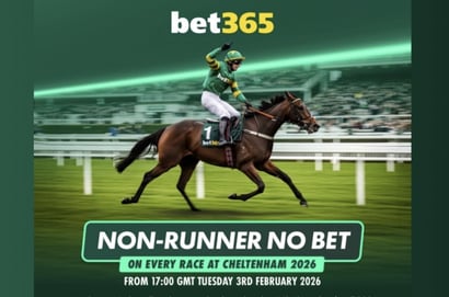 bet365 NRNB at the 2026 Cheltenham Festival