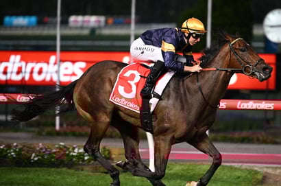 Big Saturday Bets for August 9