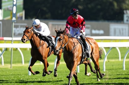 big bets for 04.10.2025