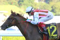 big bets for 10.05.2025