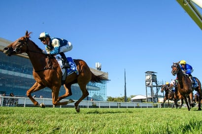 big bets for 29.08.2026