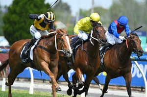 big bets results - 20/12