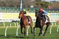 big bets results - July 26