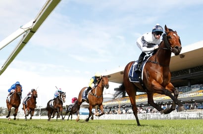big bets results