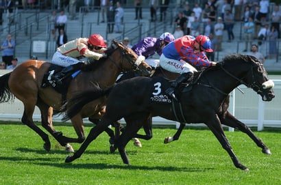 "It’s always good to have a flagbearer" - Big Mojo heading to Royal Ascot after Haydock