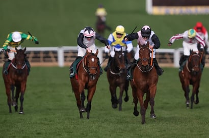 2026 Stayers' Hurdle Odds - Teahupoo favourite to reclaim Cheltenham crown