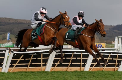 2026 Stayers' Hurdle Entries - Bob Olinger and Teahupoo head list of 29 entries